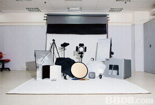 探索專(zhuān)業(yè)攝影服務(wù)的多樣世界