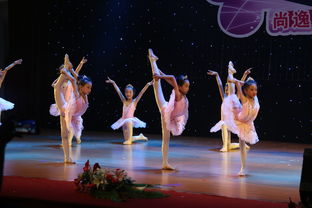 專(zhuān)業(yè)攝影攝像服務(wù)，定格新會(huì)最美瞬間