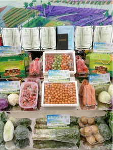 首屆金昌農(nóng)產(chǎn)品展覽會圓滿落幕 初加工食用農(nóng)產(chǎn)品引領(lǐng)農(nóng)業(yè)新風(fēng)向