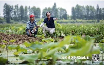 臨空港 食用農(nóng)產(chǎn)品初加工產(chǎn)業(yè)蓬勃發(fā)展，打造鄉(xiāng)村振興新引擎