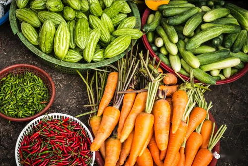 2020關鍵年 探索他國生態循環農業模式，深化食用農產品初加工發展