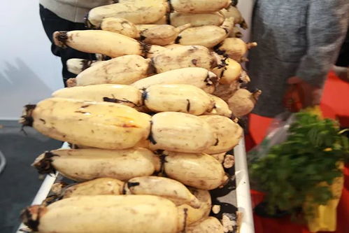 冬節大如年，團圓時節品珍饈——江蘇農民合作社農產品年度盛會收官在即